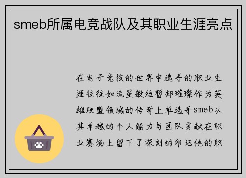 smeb所属电竞战队及其职业生涯亮点